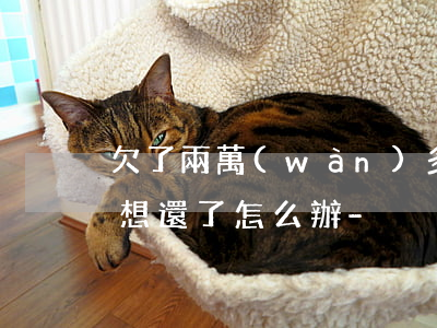 欠了兩萬(wàn)多網(wǎng)貸不想還了怎么辦-