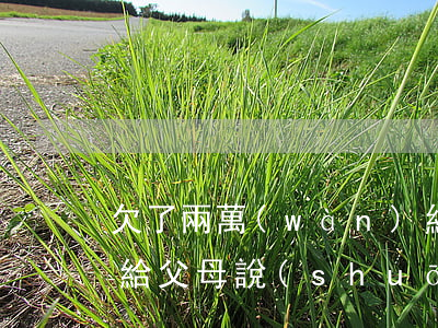 欠了兩萬(wàn)網(wǎng)貸怎么給父母說(shuō)(欠了兩萬(wàn)怎么跟父母說(shuō))