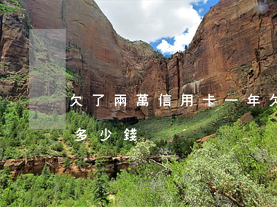 欠了兩萬信用卡一年(欠了兩萬信用卡一年還多少錢)