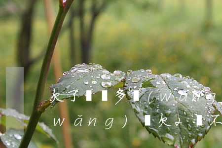 欠了兩萬多網(wǎng)貸不想活了(網(wǎng)貸欠2萬不還會怎樣)