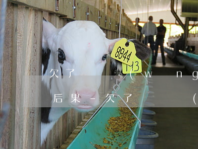 欠了兩萬網(wǎng)貸還不上會有什么后果-欠了兩萬網(wǎng)貸還不上會有什么后果嗎