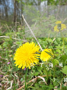 欠了兩萬網(wǎng)貸還不上(網(wǎng)貸欠2萬不還會(huì)怎樣)