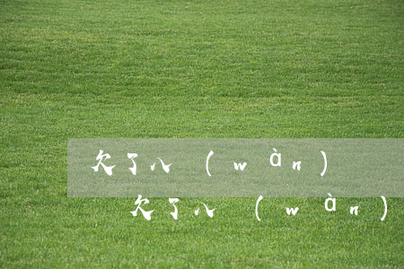 欠了八萬(wàn)塊錢的網(wǎng)貸(欠了八萬(wàn)多網(wǎng)貸有什么辦法)
