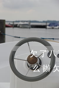 欠了八萬(wàn)多網(wǎng)貸怎么辦(欠了8萬(wàn)網(wǎng)貸)