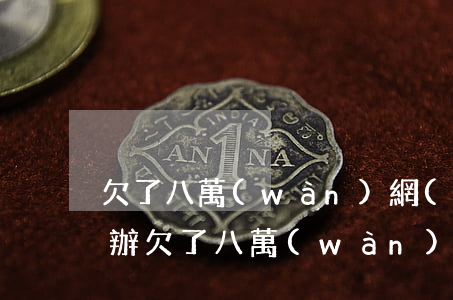 欠了八萬(wàn)網(wǎng)貸怎么辦(欠了八萬(wàn)的網(wǎng)貸怎么辦)
