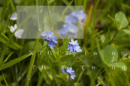 欠了八萬的網(wǎng)貸月息是多少(欠了八萬的網(wǎng)貸月息是多少)