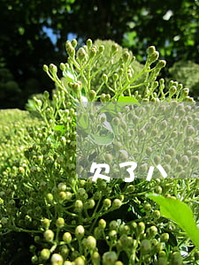 欠了八萬網(wǎng)貸怎么過年