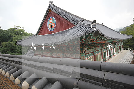 欠了八萬網貸暫時不還(網貸八萬還不起怎么辦)