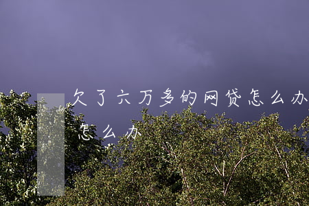 欠了六万多的网贷怎么办(欠了六七万的网贷怎么办)