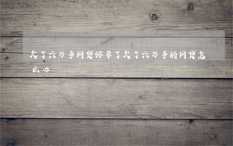 欠了六万多网贷怀孕了(欠了六万多的网贷怎么办)