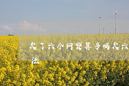 欠了六个网贷算多吗(欠六万多网贷有什么办法)