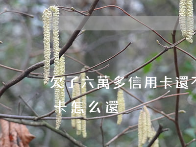 欠了六萬多信用卡還不上怎么辦（欠6萬信用卡怎么還）