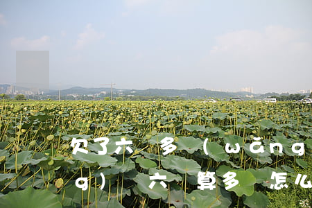 欠了六萬多網(wǎng)貸(欠網(wǎng)貸六萬算多嗎怎么辦)