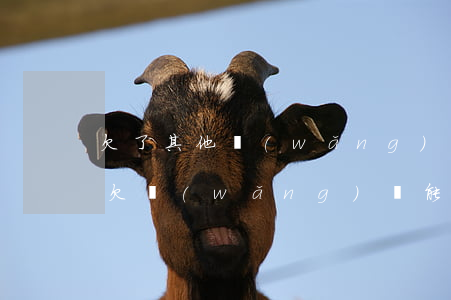 欠了其他網(wǎng)貸能去友信上班嗎(欠網(wǎng)貸能找到新的公司嗎)
