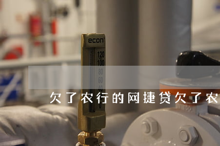 欠了农行的网捷贷(欠了农行的网捷贷)