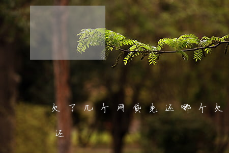 欠了几个网贷先还哪个(欠了网贷到底要不要还)