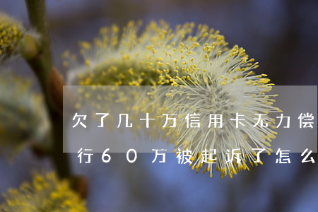 欠了几十万信用卡无力偿还怎么办-我欠银行60万被起诉了怎么办