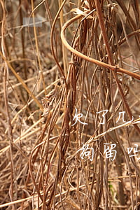 欠了几十万无力偿还(欠几十万无力偿还会被拘留吗)
