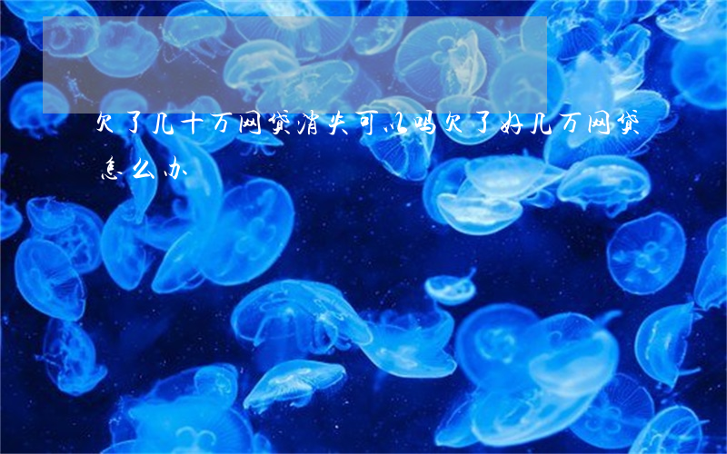 欠了几十万网贷消失可以吗(欠了好几万网贷怎么办)