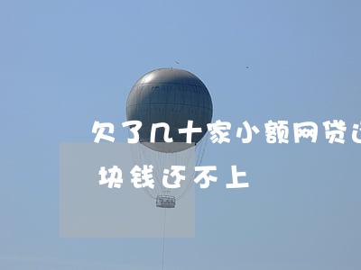欠了几十家小额网贷还不起了(网贷欠了几千块钱还不上)
