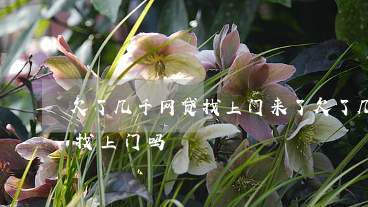 欠了几千网贷找上门来了(欠了几千块网贷会找上门吗)