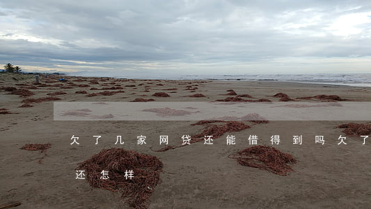 欠了几家网贷还能借得到吗(欠了几家网贷不还怎样)