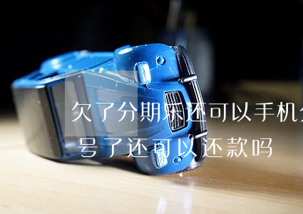 欠了分期乐还可以手机分期吗(分期乐换手机号了还可以还款吗)
