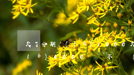 欠了分期樂(lè)1000(欠了分期樂(lè)6000塊錢不還會(huì)有什么后果???)