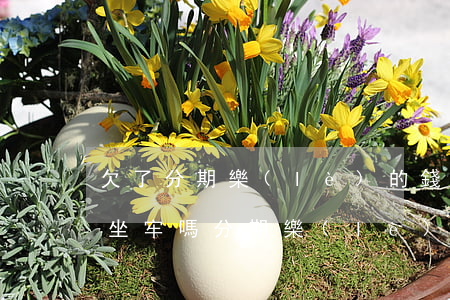 欠了分期樂(lè)的錢不還會(huì)坐牢嗎(分期樂(lè)欠款多少會(huì)坐牢欠分期樂(lè)四千多,會(huì)被判刑嗎?)