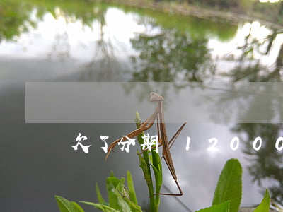 欠了分期樂12000元(分期樂2000多沒還)