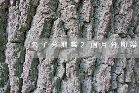欠了分期樂2個月(分期樂兩個月沒還怎么辦)