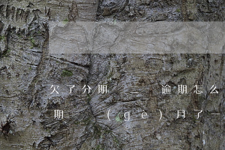 欠了分期樂二萬逾期怎么辦(分期樂欠兩萬,逾期一個(gè)月了,一共得還多少)