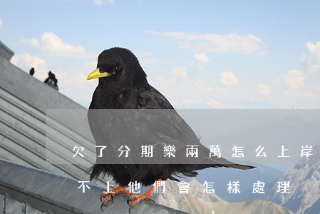 欠了分期樂兩萬怎么上岸(分期樂欠一萬多還不上,他們會怎樣處理)