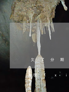 欠了分期樂四萬多(分期樂借了兩萬分三年還現(xiàn)在要還四萬多怎么辦)