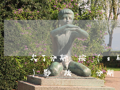 欠了分期樂按時(shí)還還會(huì)影響政審嗎(分期樂借錢會(huì)影響政審嗎)