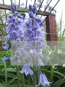 欠了分期樂按時還還會影響政審嗎-分期樂沒還完影響政審嗎