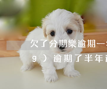 欠了分期樂逾期一年多(分期樂已經(jīng)逾期了半年還沒有還會(huì)怎么樣)
