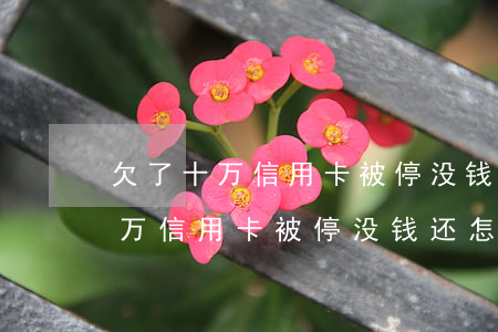 欠了十万信用卡被停没钱还怎么办-欠了十万信用卡被停没钱还怎么办呢