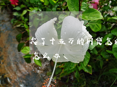 欠了十五万的网贷怎么办(欠了十五万的网贷怎么办)