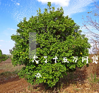 欠了十五万网贷怎么办(欠了十三万网贷怎么办)