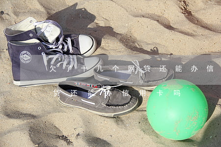 欠了十几个网贷还能办信用卡吗(借了几个网贷还能办信用卡吗)