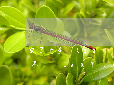 欠了十多個(gè)網(wǎng)貸一年不還會(huì)怎樣(網(wǎng)貸一年多了不還會(huì)怎么樣)