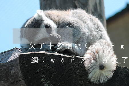 欠了十多個網(wǎng)貸27萬怎么辦(網(wǎng)貸欠了17萬)