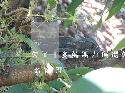 欠了十多萬無力償還(欠了十多萬無力償還怎么處理)