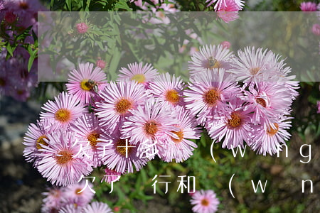 欠了十多萬網(wǎng)貸可以找銀行嗎(欠了銀行和網(wǎng)貸二十萬還不了怎么解決)
