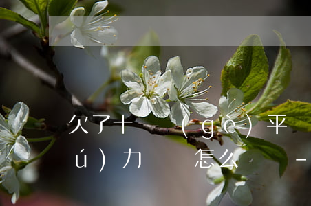 欠了十幾個(gè)平臺(tái)無(wú)力償還怎么樣辦-欠了十幾個(gè)平臺(tái)無(wú)力償還怎么樣辦呢