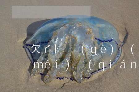 欠了十幾個(gè)網(wǎng)貸沒(méi)錢(qián)還怎么辦(欠了幾十萬(wàn)網(wǎng)貸沒(méi)錢(qián)還了怎么辦)