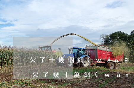 欠了十幾個網(wǎng)貸沒錢還怎么辦(欠了幾十萬網(wǎng)貸沒錢還了怎么辦)