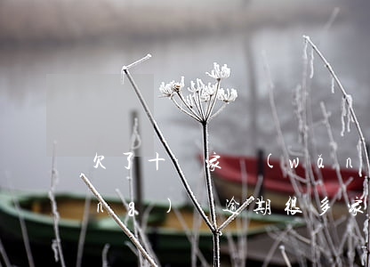 欠了十幾家網(wǎng)貸逾期(網(wǎng)貸逾期很多家)