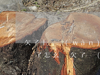 欠了十幾萬(wàn)網(wǎng)貸人瘋了怎么辦(欠了網(wǎng)貸十幾萬(wàn)想死了)